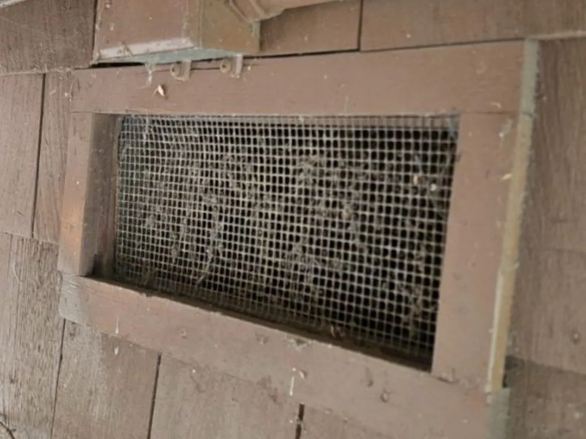 Before: a typical crawlspace vent with a quarter-inch screen. Seven vents matched this type.