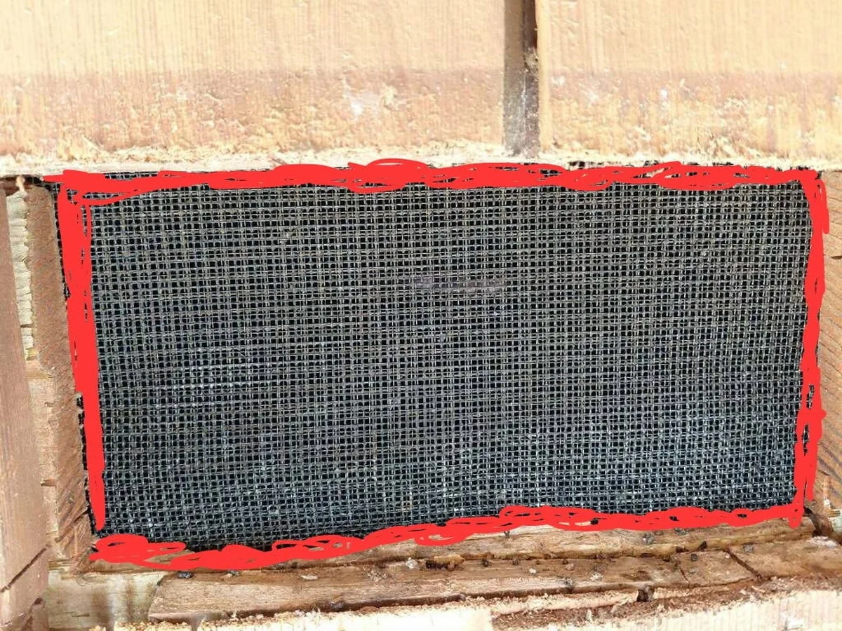 During: mesh fastened to the framing, with fire-rated caulking sealing the full perimeter.
